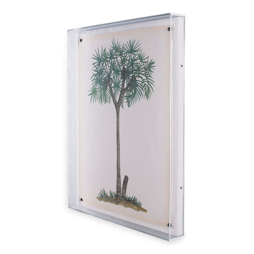 Palm Tree III in Lucite Frame