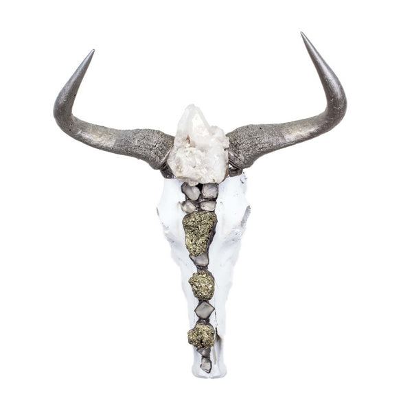 Wildebeest Skull with Horns by Jamie Dietrich Designs