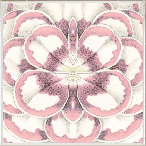 Natural Curiosities Carnations 4 Art