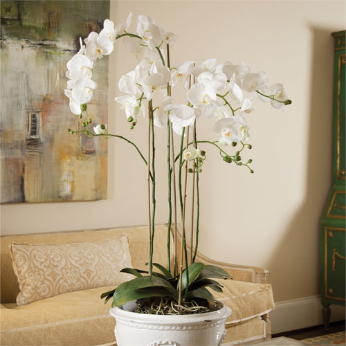 Phalaenopsis Orchid Drop In 44"