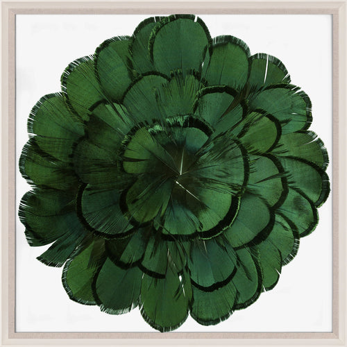 Natural Curiosities Queen Victoria Feathers 3 Art, Green