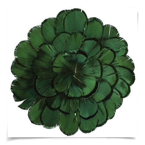 Natural Curiosities Queen Victoria Feathers 3 Art, Green
