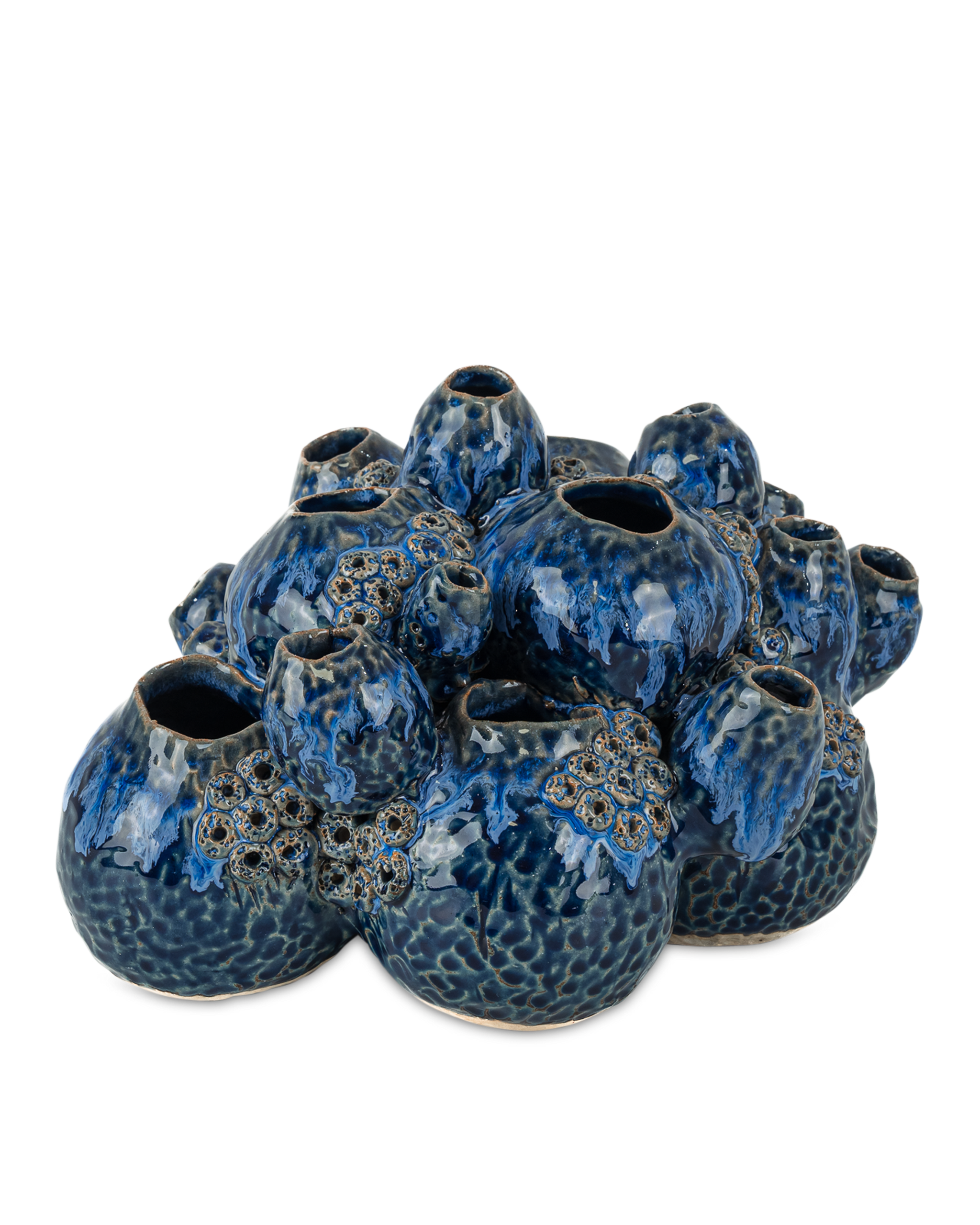 Currey & Company Sulawasi Blue Shells