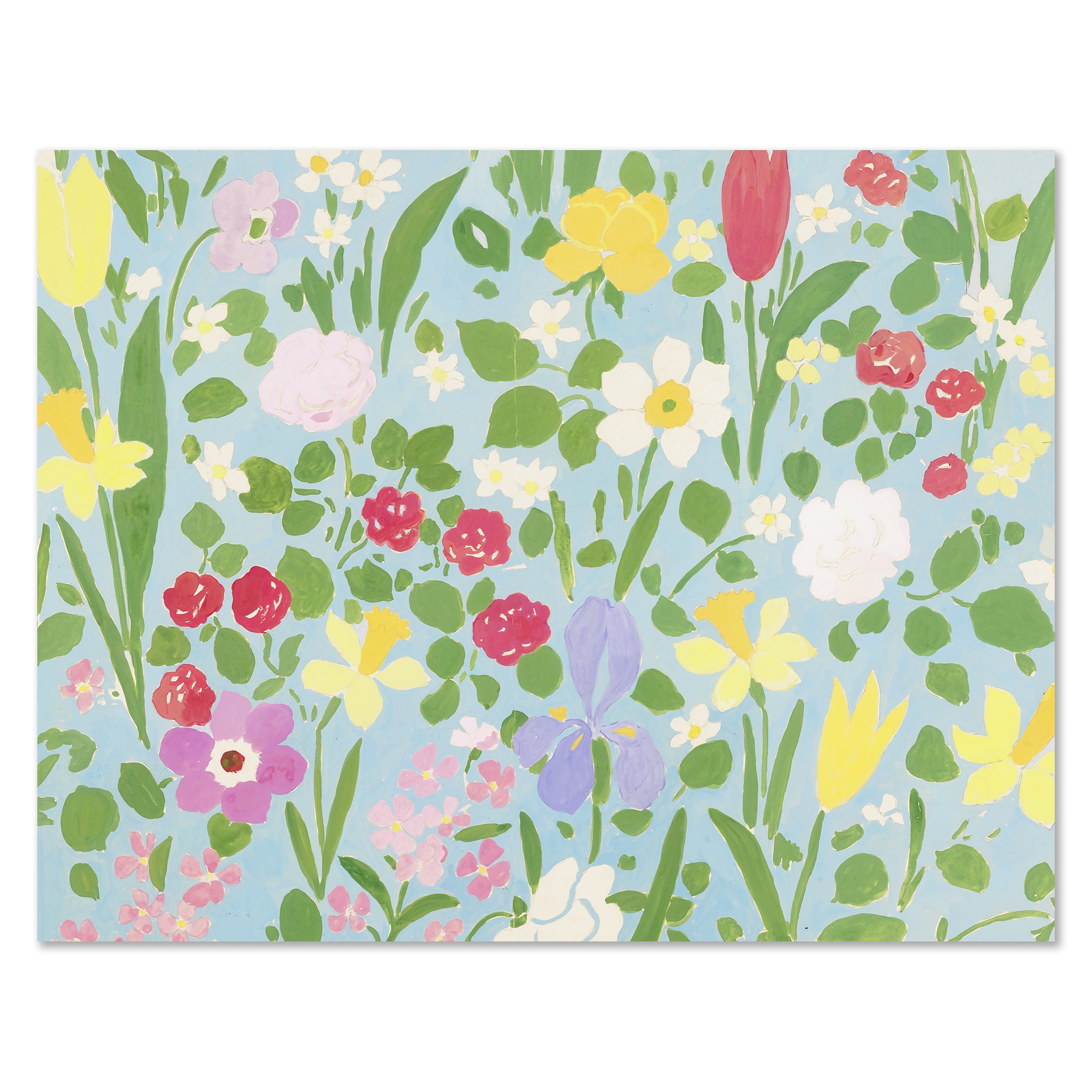 Paule Marrot Daffodils Art Print