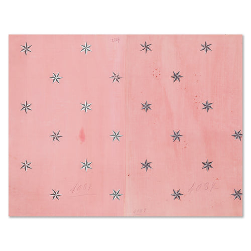 Paule Marrot Pink Etolie Artwork