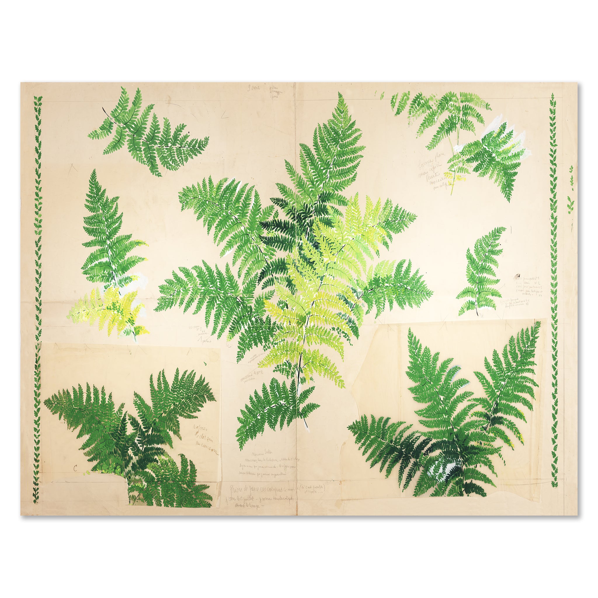 Paule Marrot Fern Art