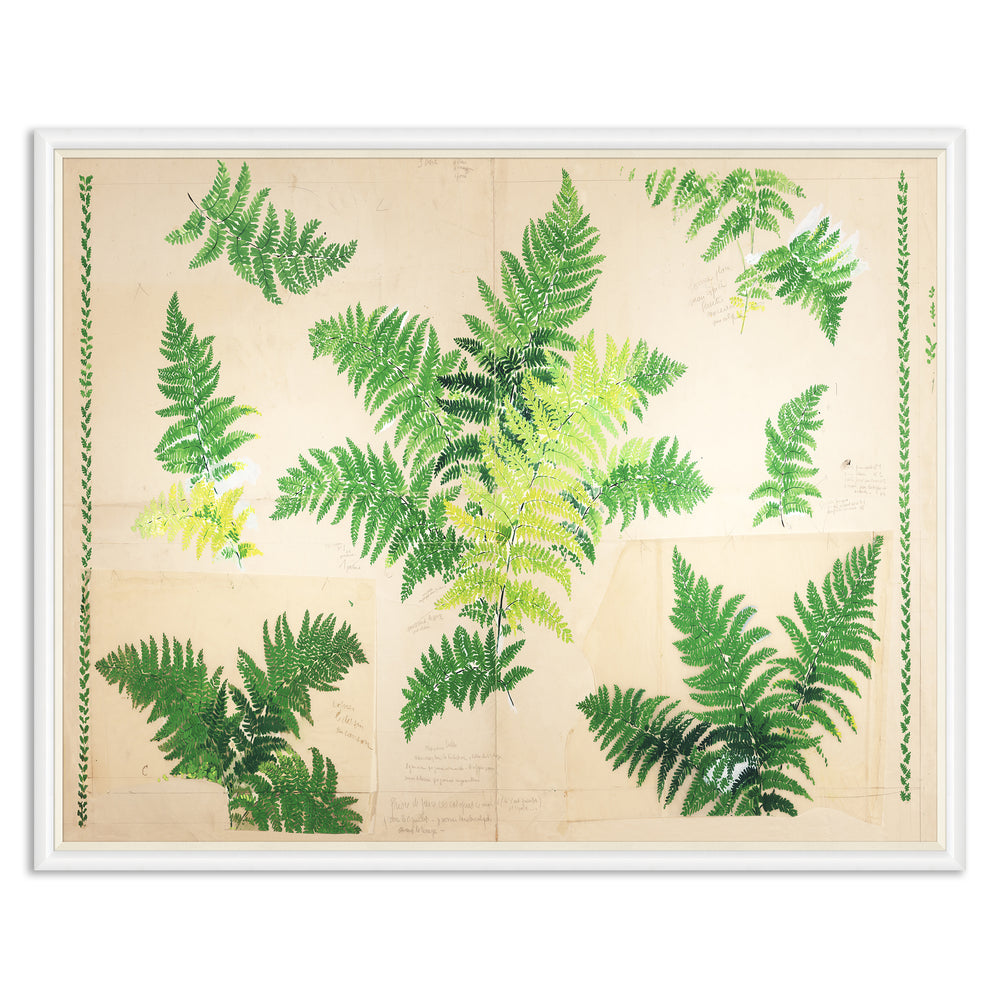 Paule Marrot Fern Art