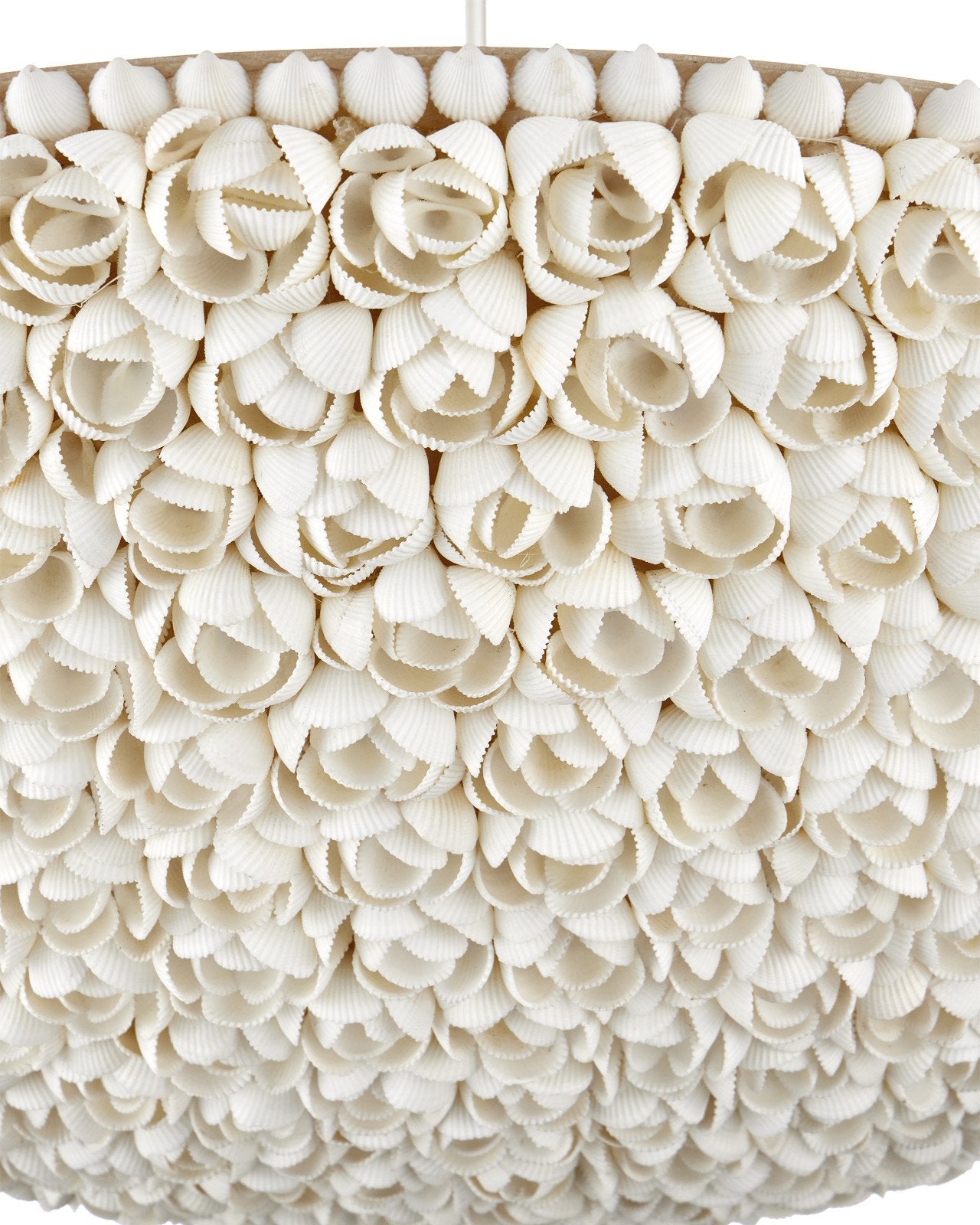 Currey & Company Virtu 24" 1 Light Chandelier