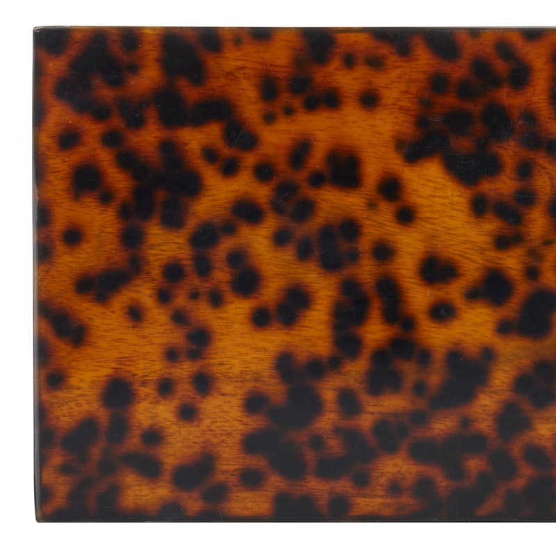 Currey And Company Faux Tortoise Box Set Of 2