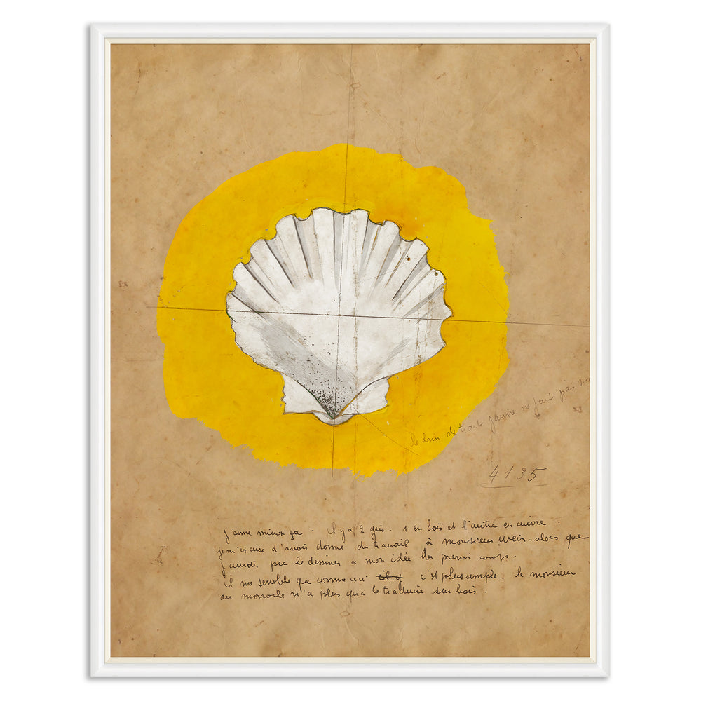 Paule Marrot Shell 1 Art