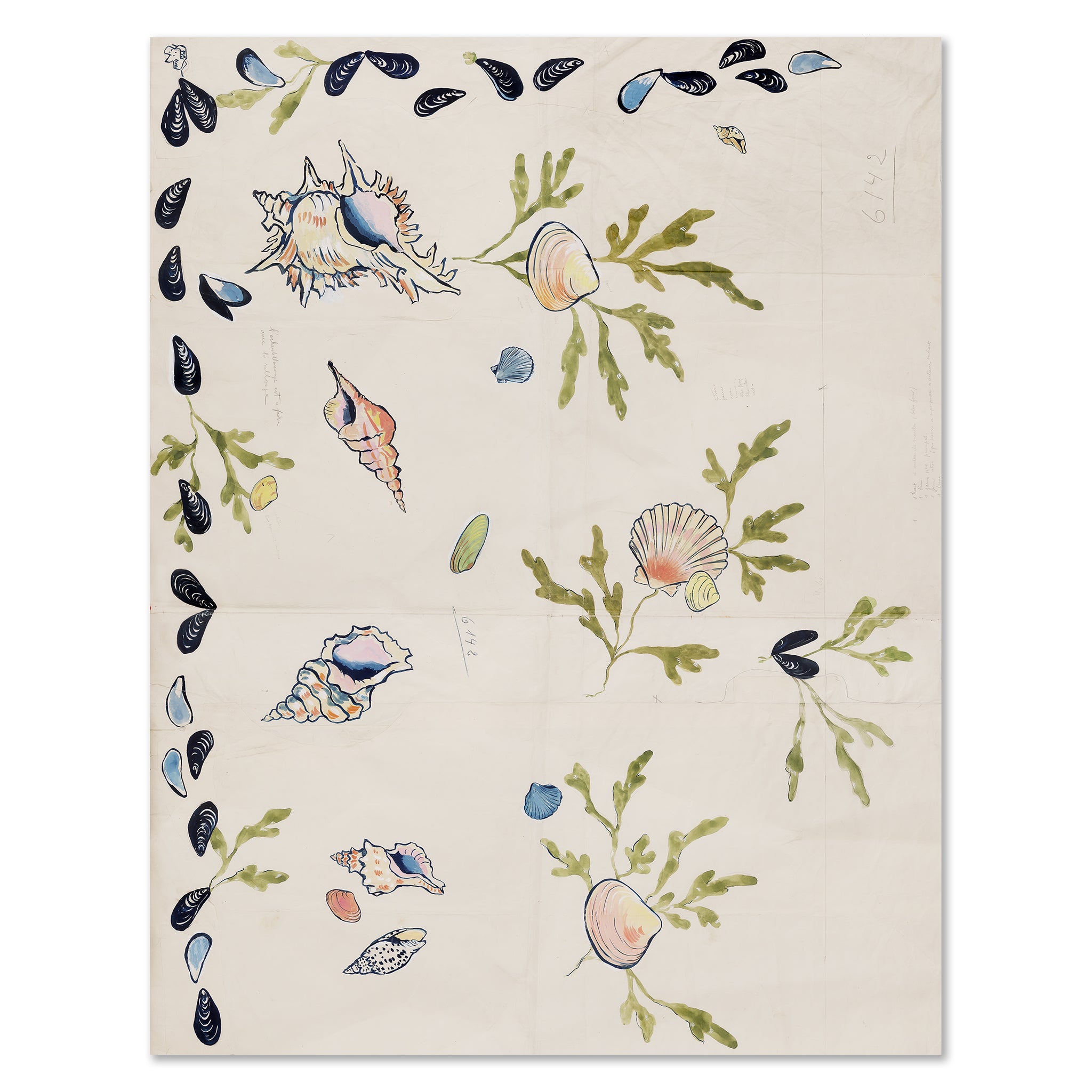 Paule Marrot Shell 2 Art