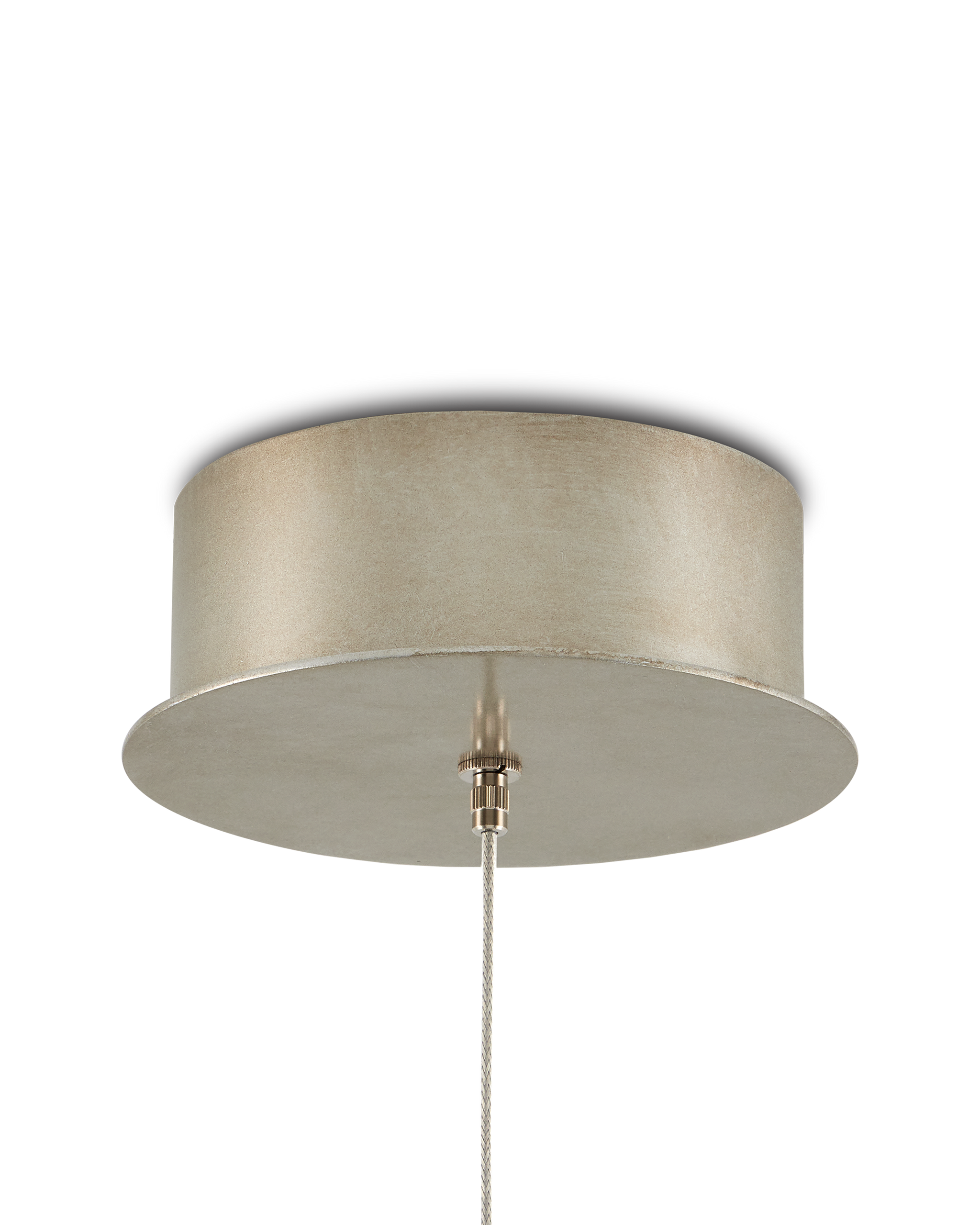 Currey And Company Banyan Pendant Lights