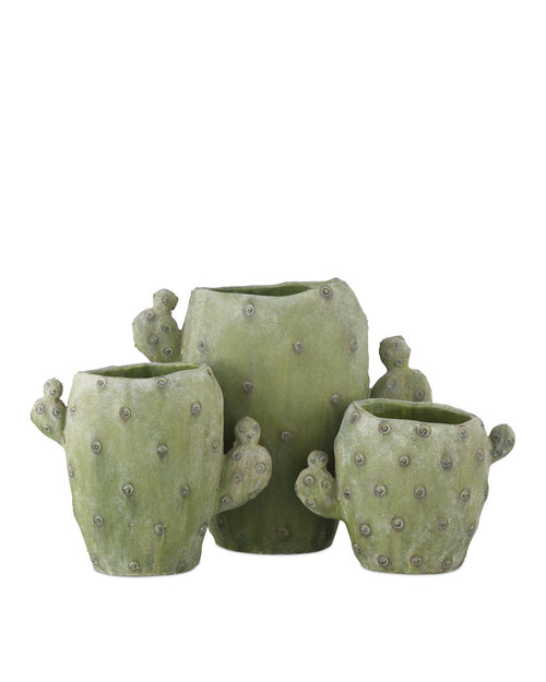 Currey & Company Cactus Vase Set Of 3