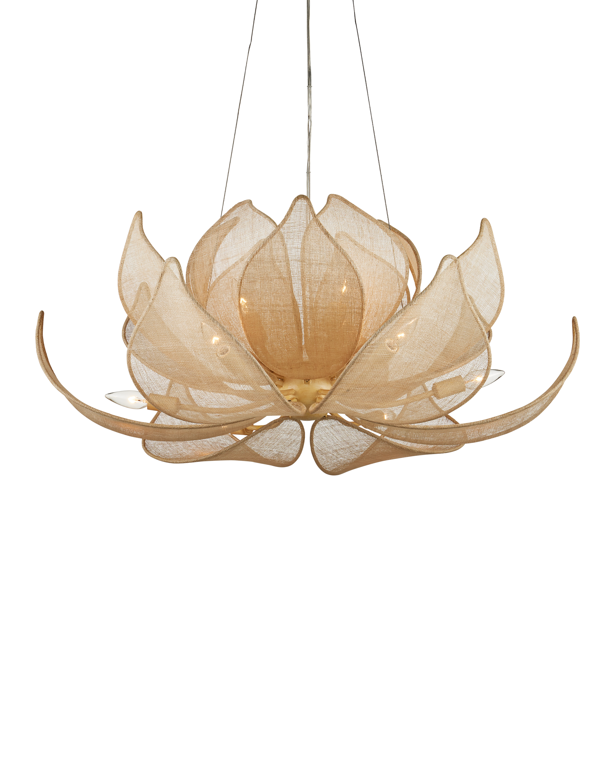 Currey & Company Oblivion Chandelier