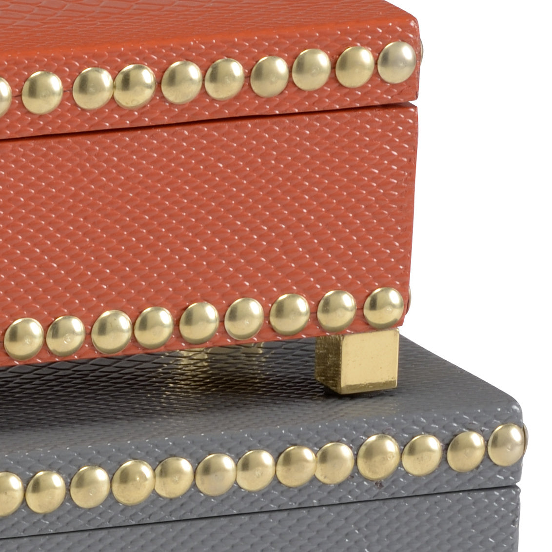 Wildwood Treasure Boxes Desert (S2)