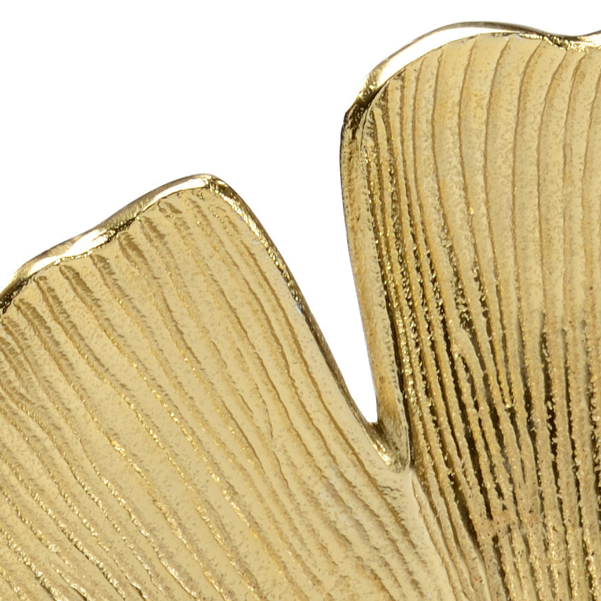 Wildwood Ginkgo Gold