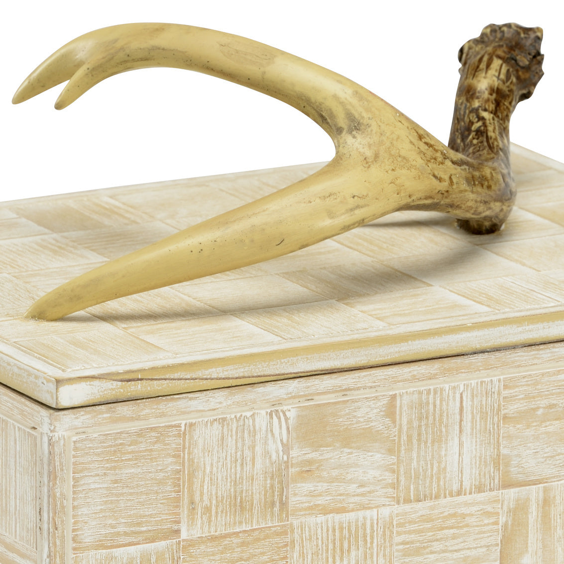 Wildwood Antler Box (Sm)
