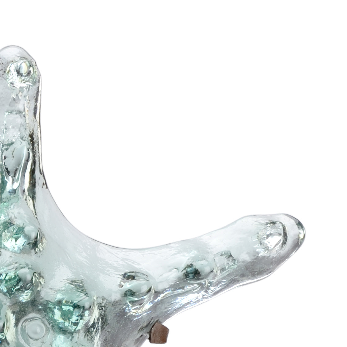 Wildwood Starfish (Med)