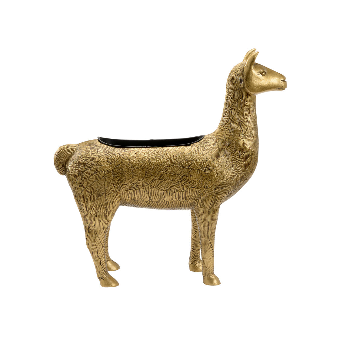 Wildwood Drama Lama Planter