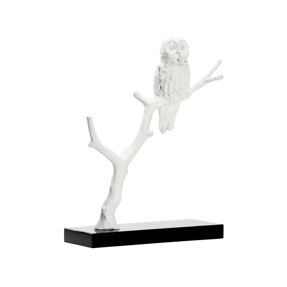 Wildwood Bog Garden Winter Visitor