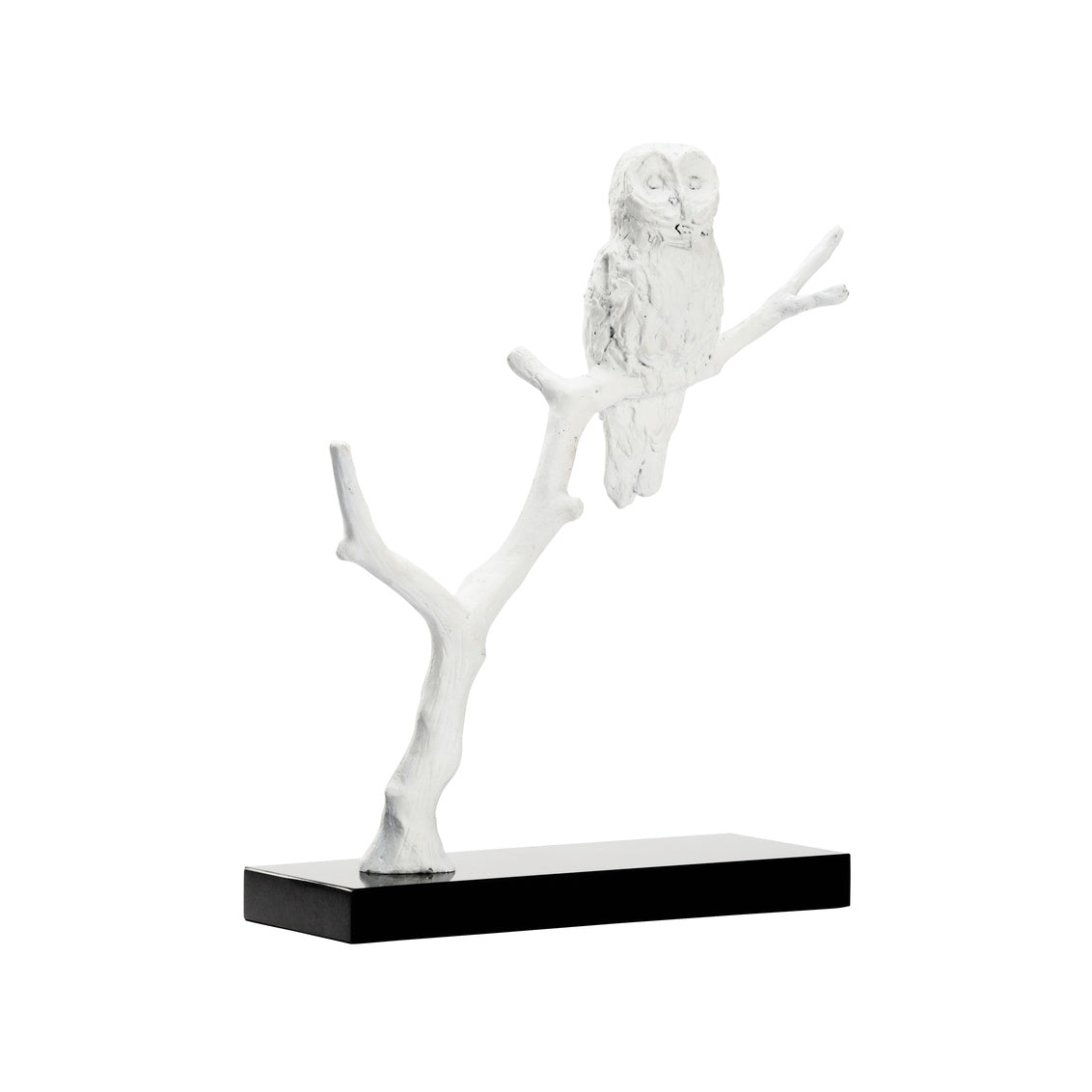 Wildwood Bog Garden Winter Visitor