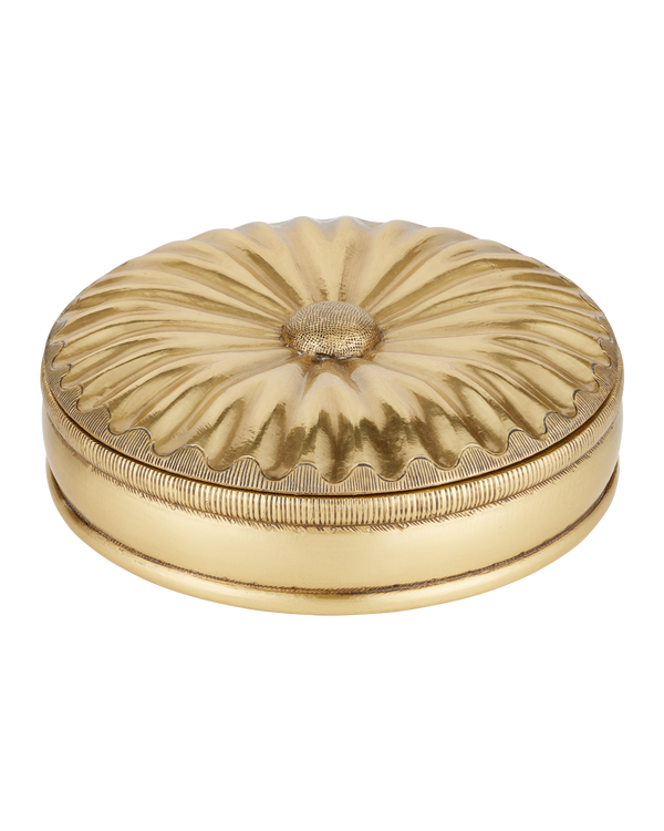 Currey & Company Pulsante Brass Box