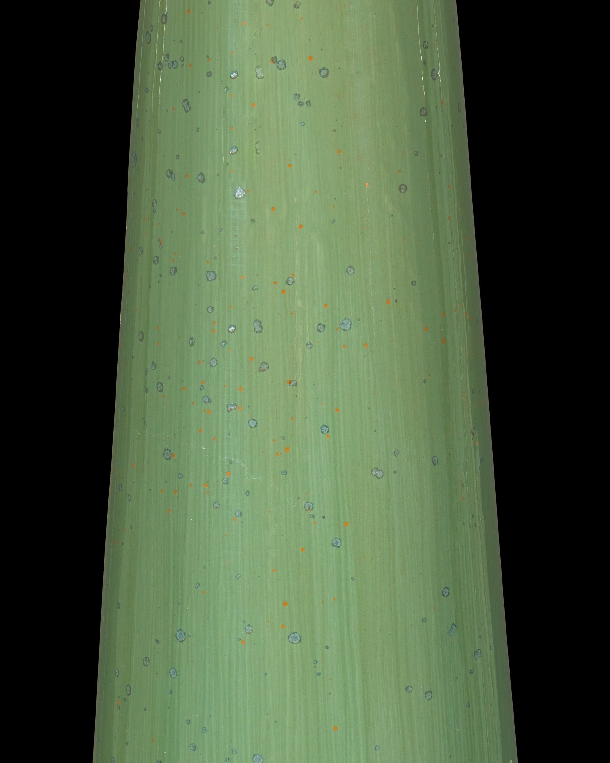 Currey & Company Grassington Table Lamp