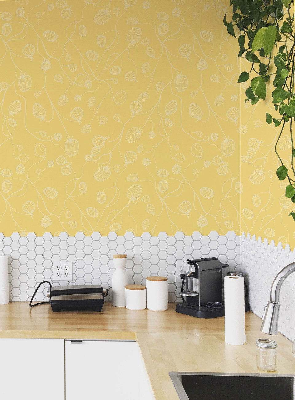 Susan Hable Onions Wallpaper