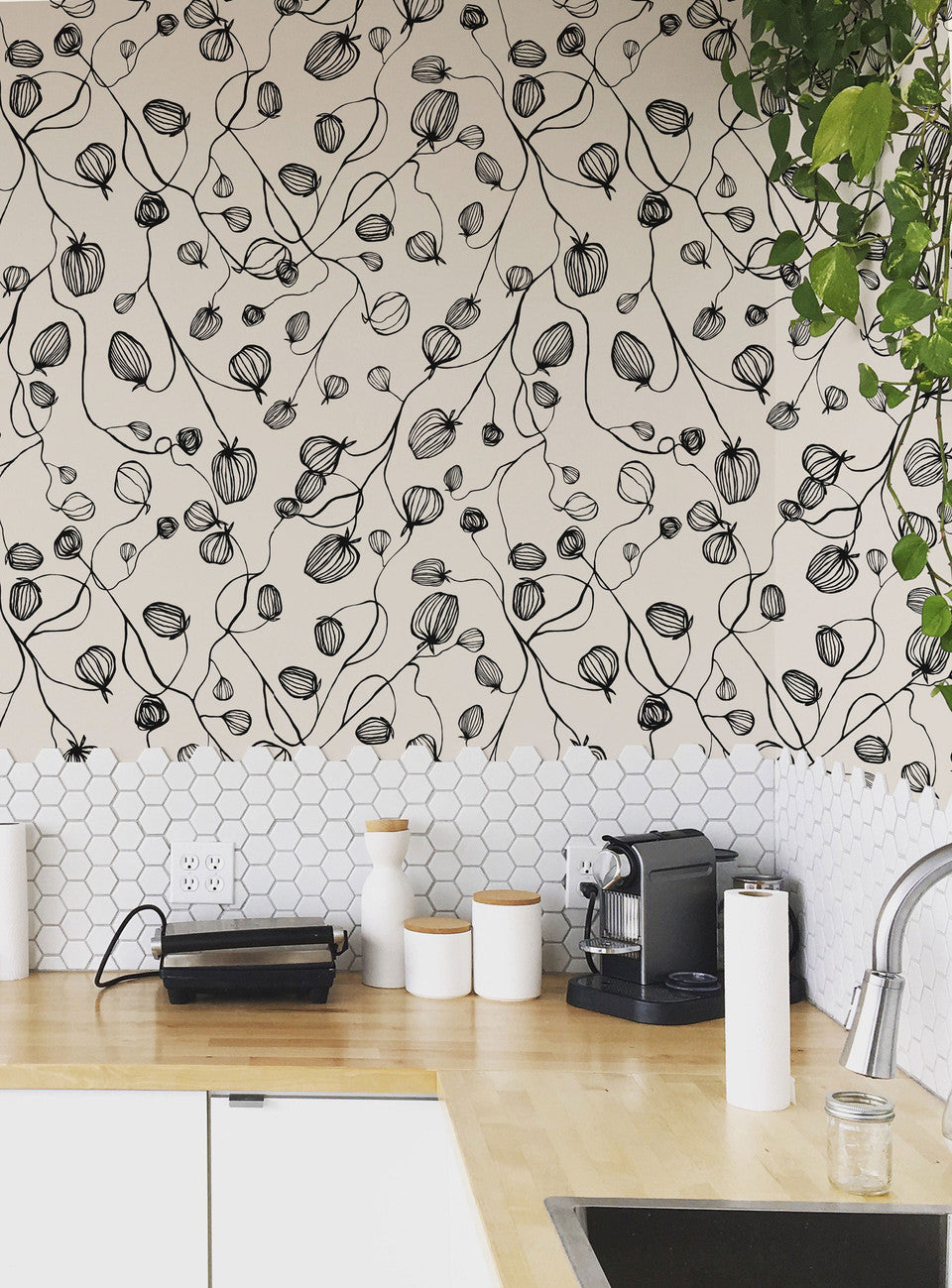 Susan Hable Onions Wallpaper