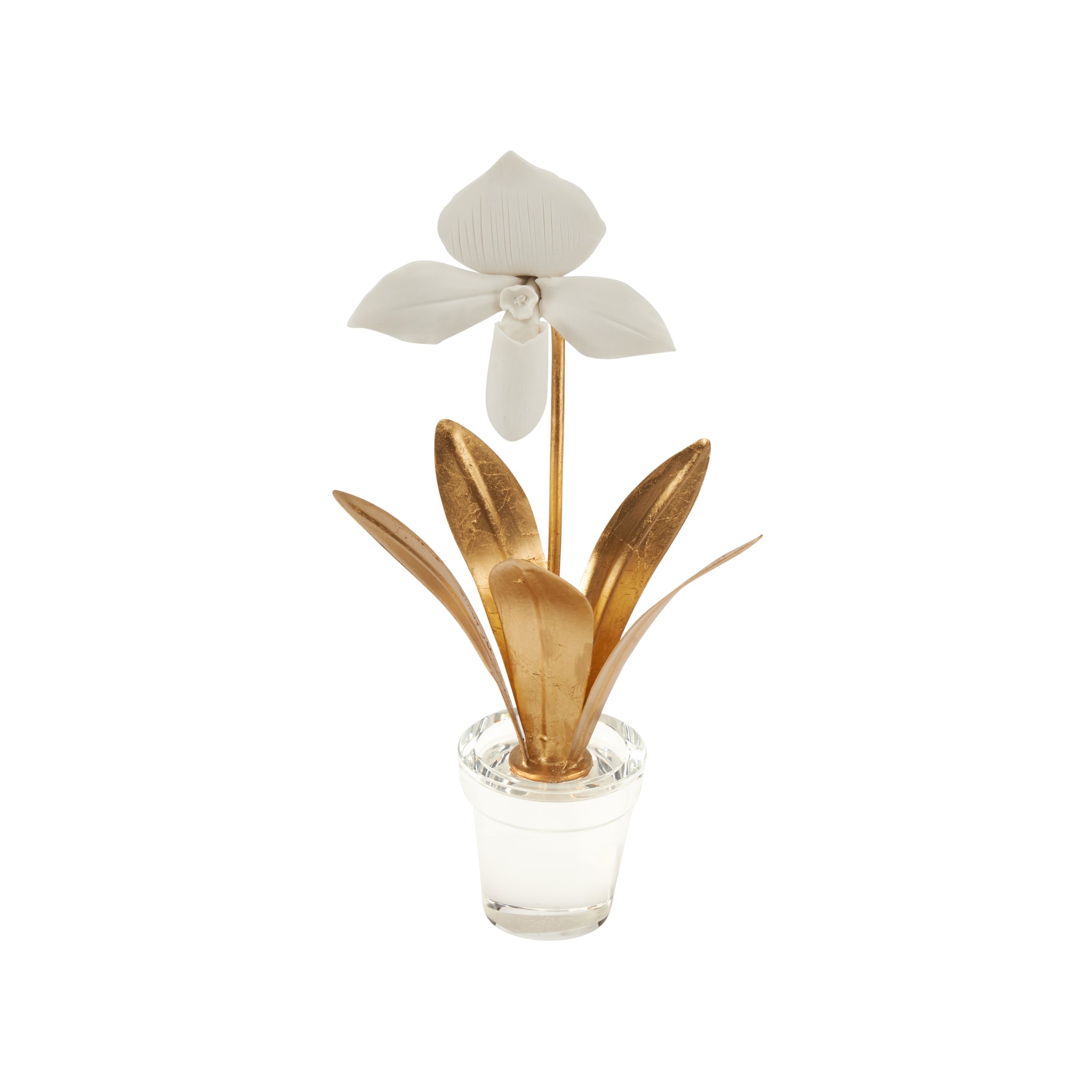 Chelsea House Lady Slipper Orchid