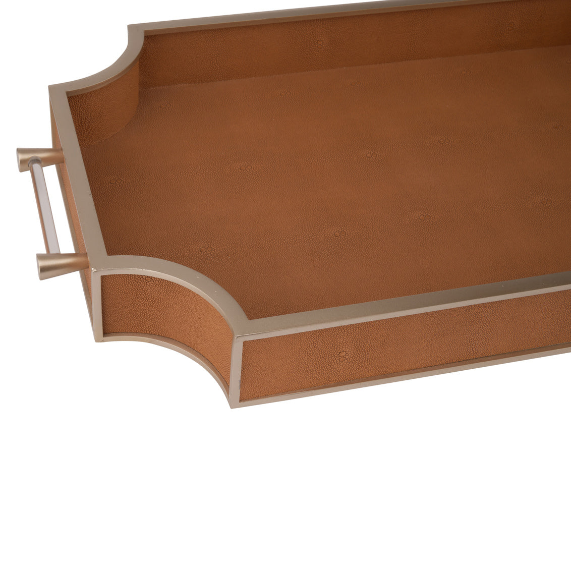 Chelsea House Shagreen Tray