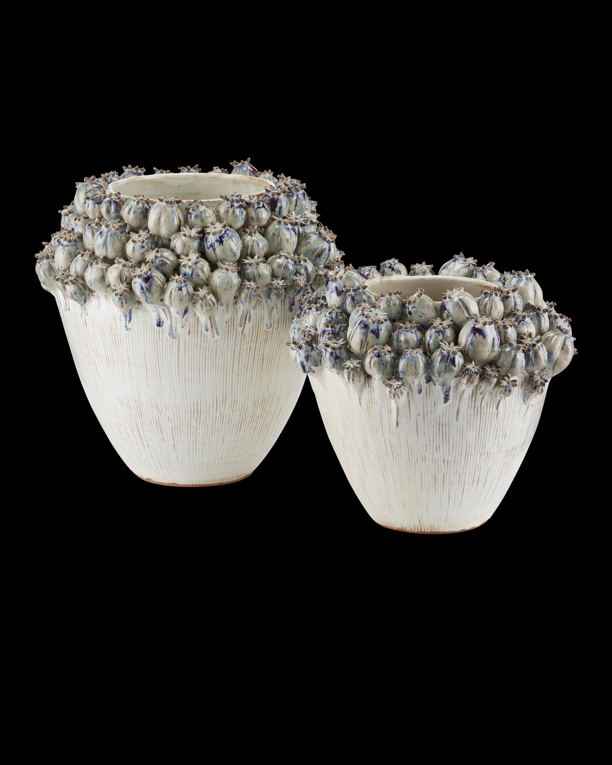 Currey & Company Poppy Pod Crown Medium Vase