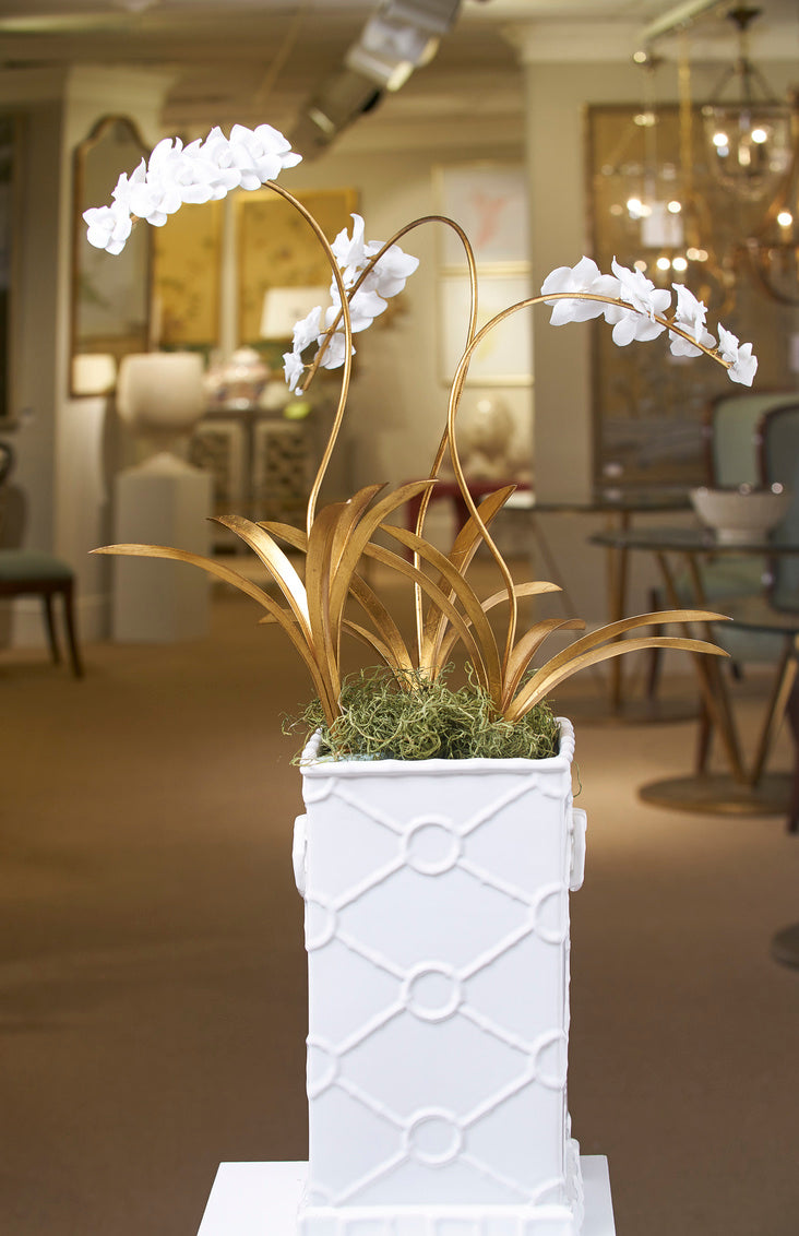 Chelsea House Orchid Stem (Lg)