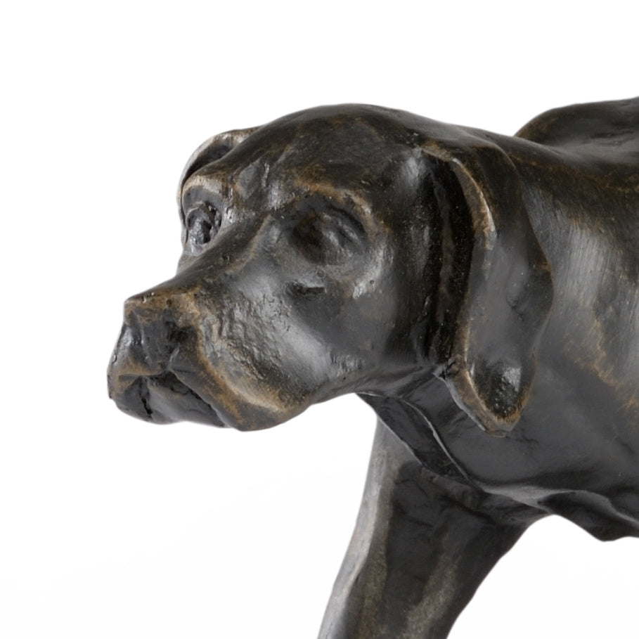 Chelsea House Pointer Bronze