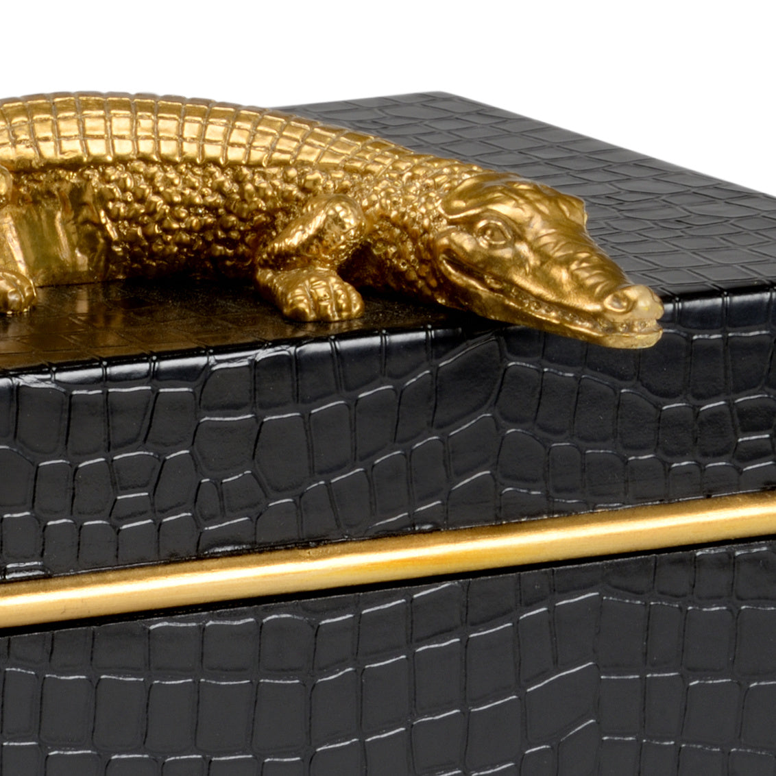Chelsea House Alligator Box Black