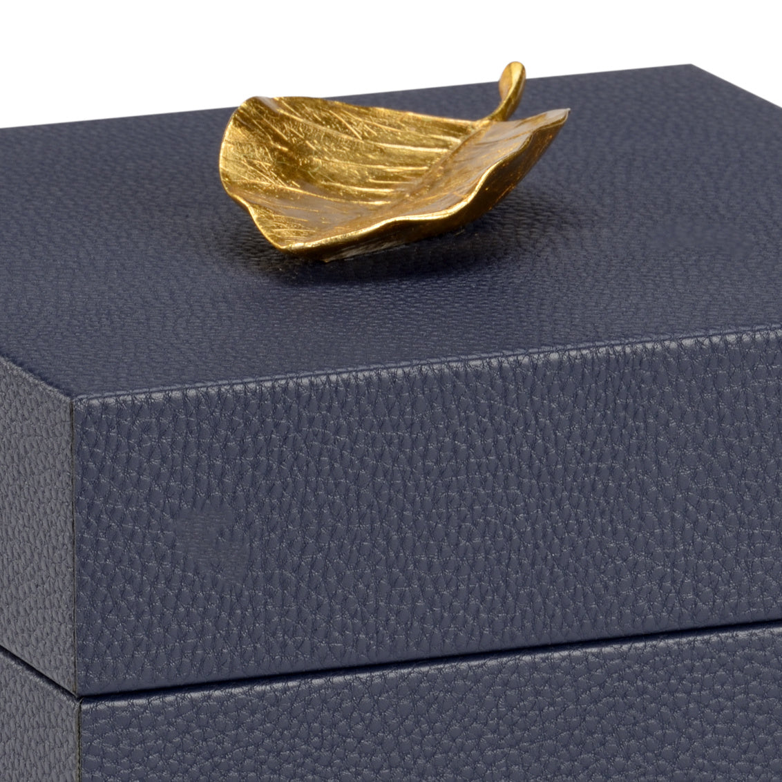 Chelsea House Pam Cain Leaf Box Navy