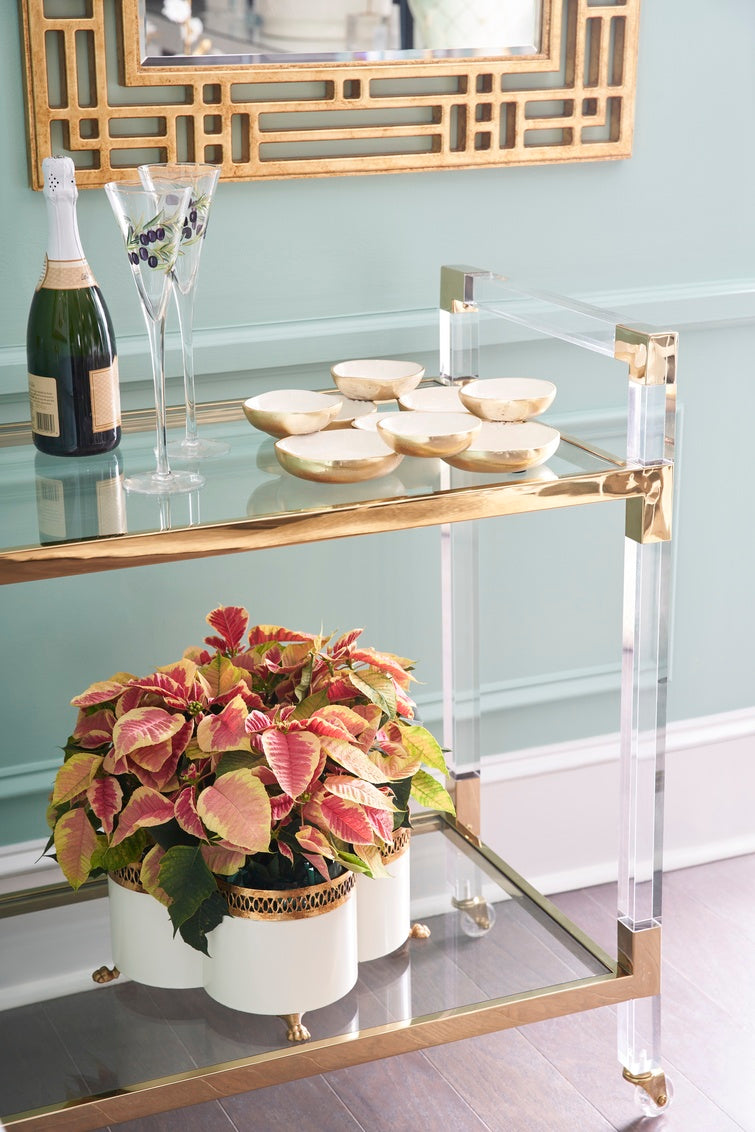 Chelsea House Multidimensional Tray