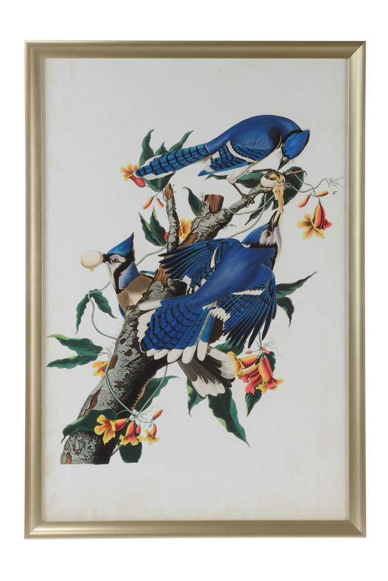 Chelsea House Audubon Blue Jay I