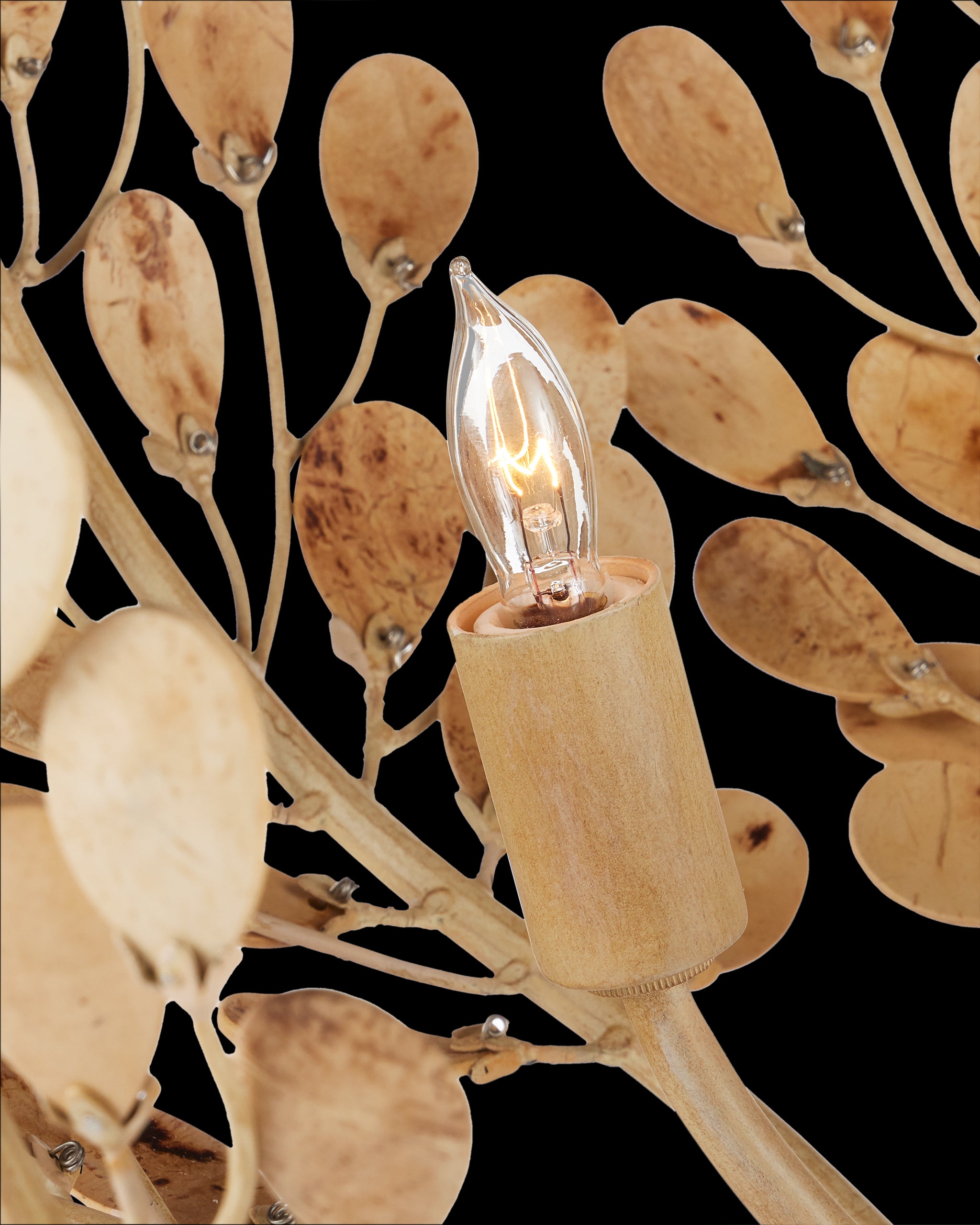 Currey & Company Maypan Chandelier