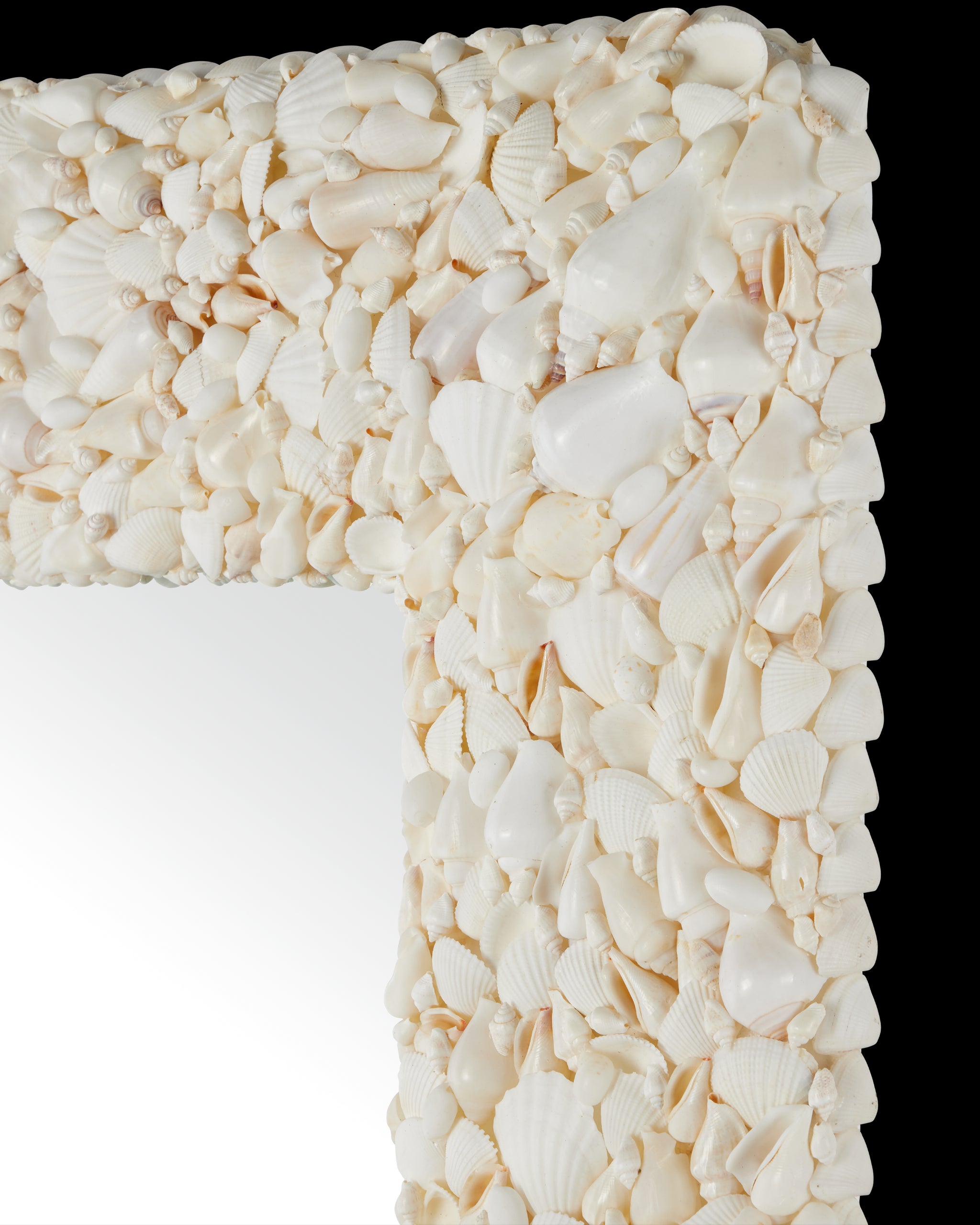 Currey & Company Turbinella Rectangular Mirror