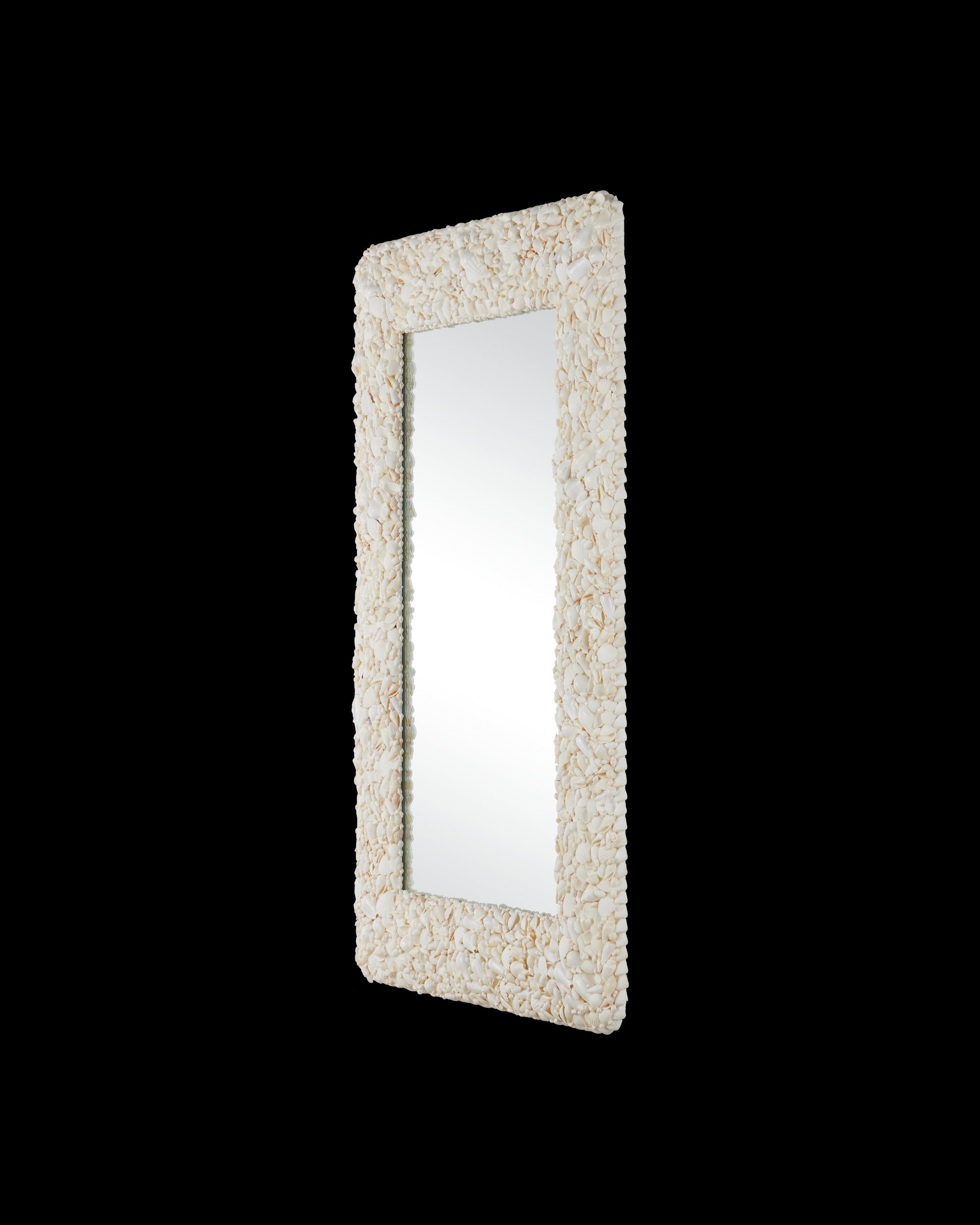 Currey & Company Turbinella Rectangular Mirror