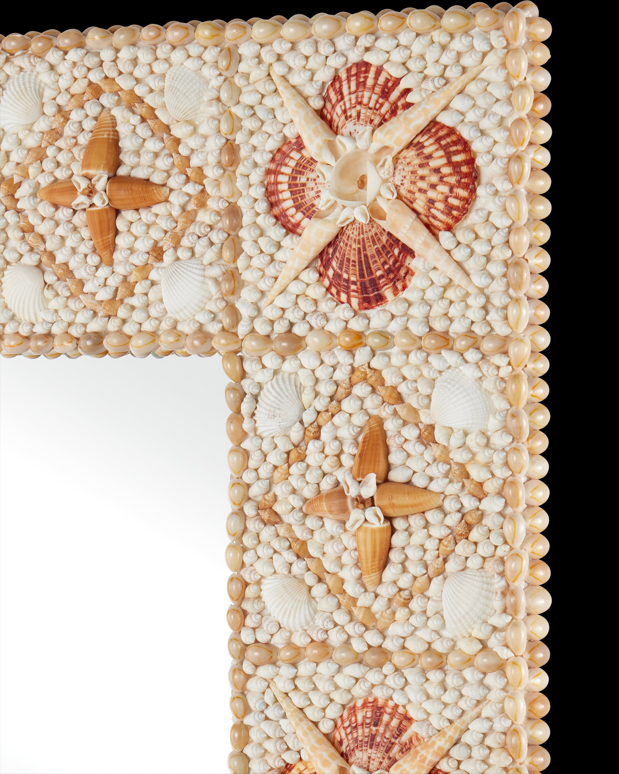 Currey & Company Junonia Rectangular Mirror