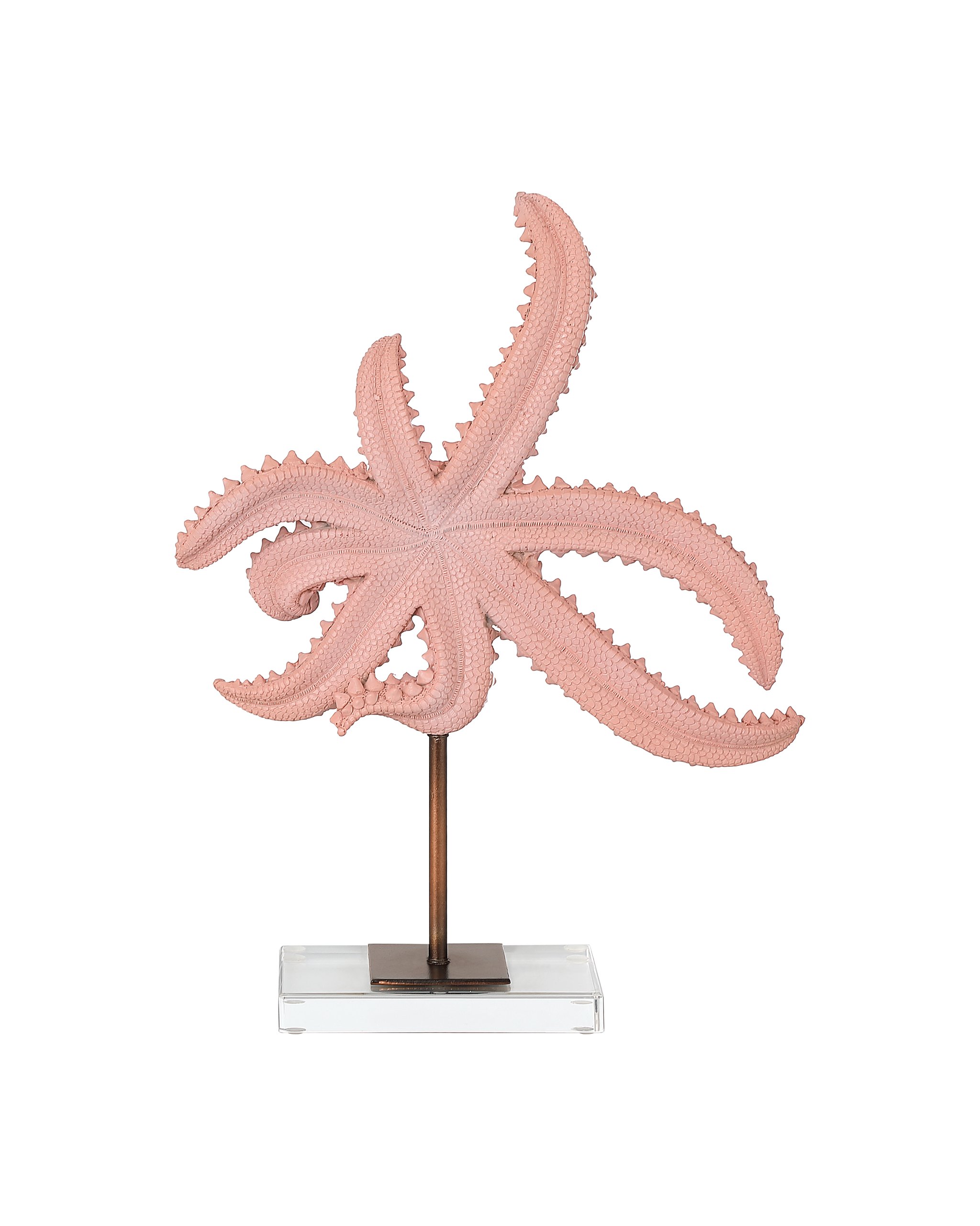 Currey & Company Starfish Set Of 2