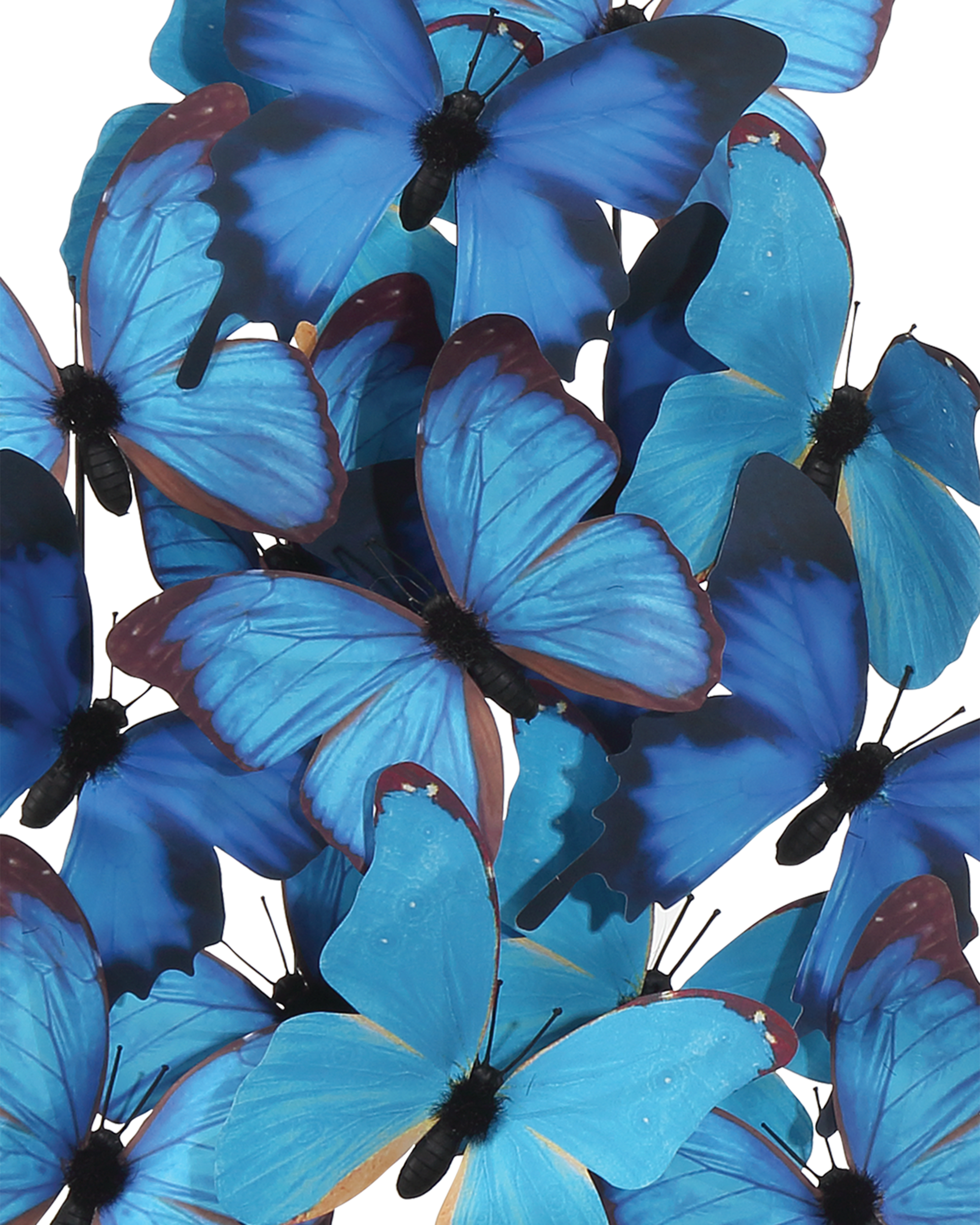 Currey & Company Rue De Bac Blue Medium Butterflies