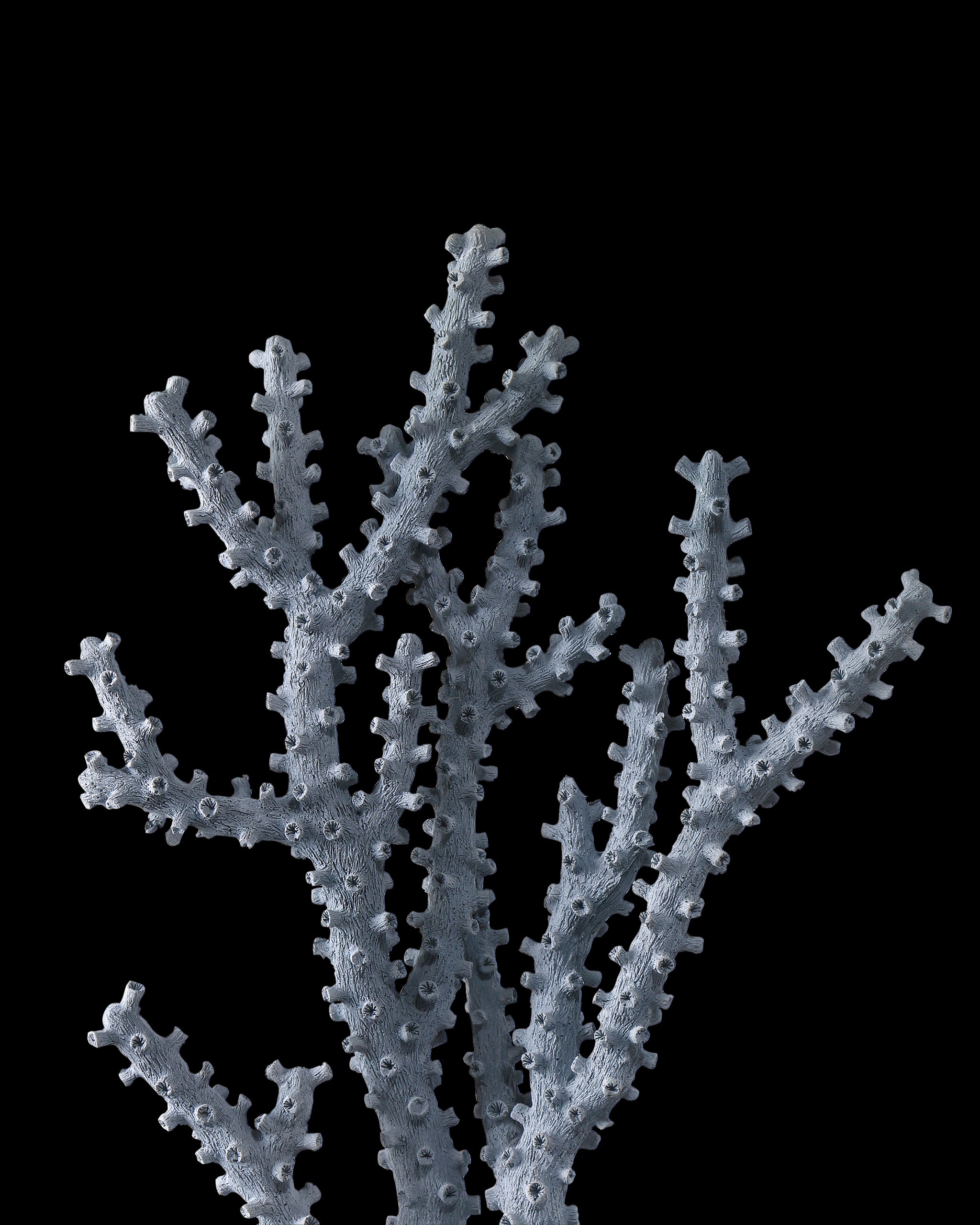 Currey & Company Blue Coral Set Of 2