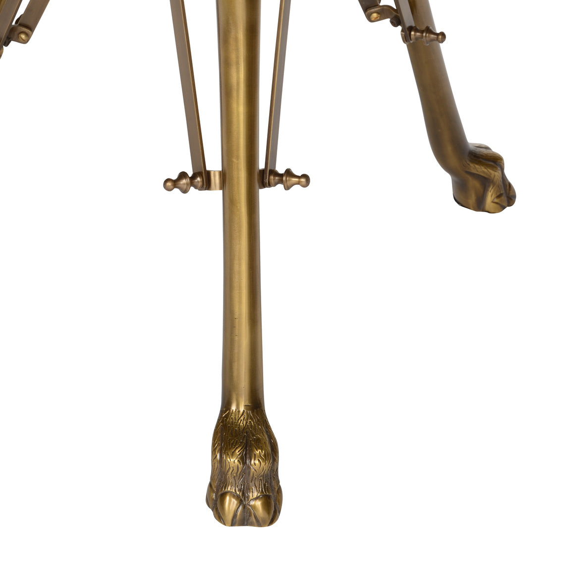 Wildwood Lion In The Library Table