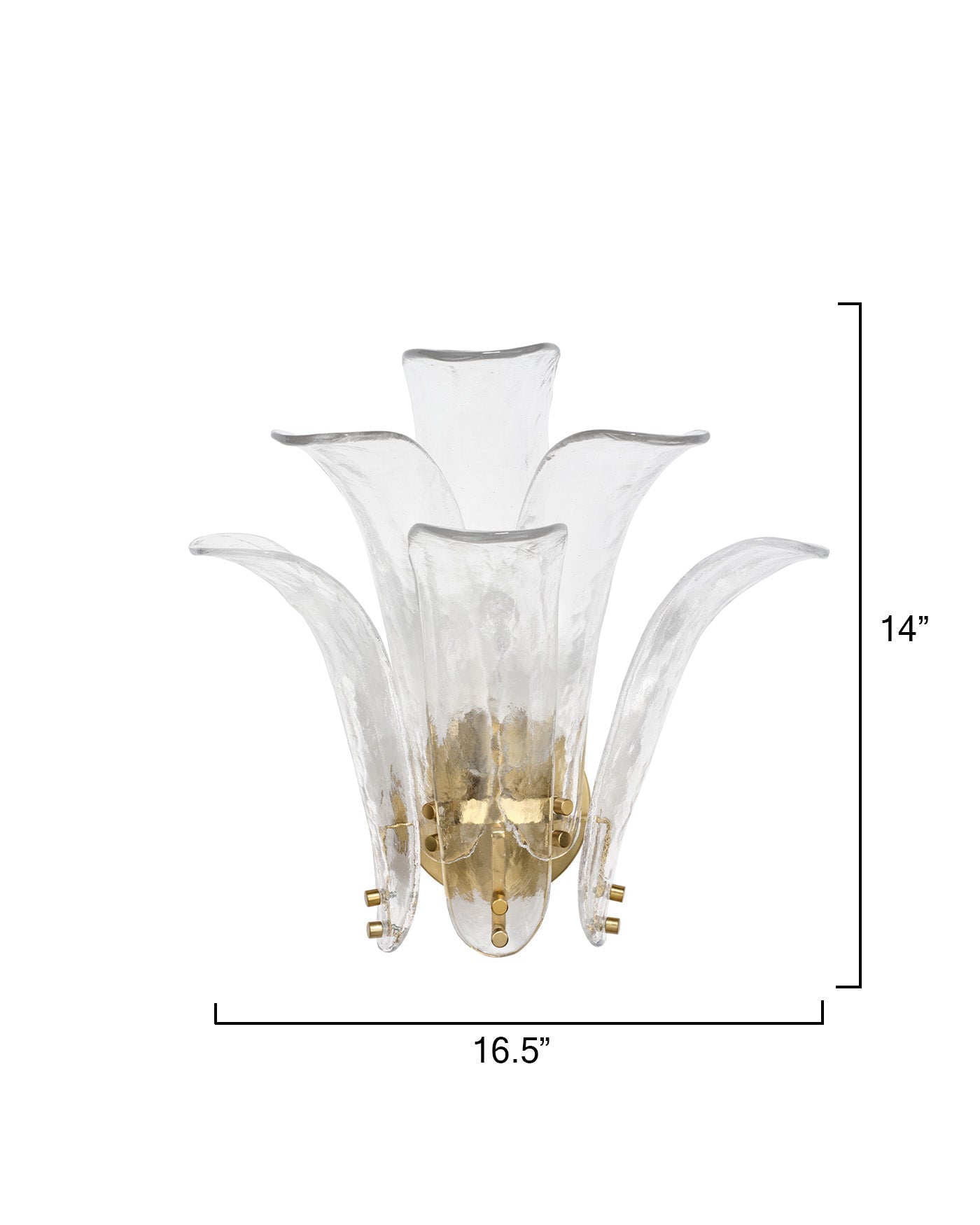 Jamie Young Cala Sconce