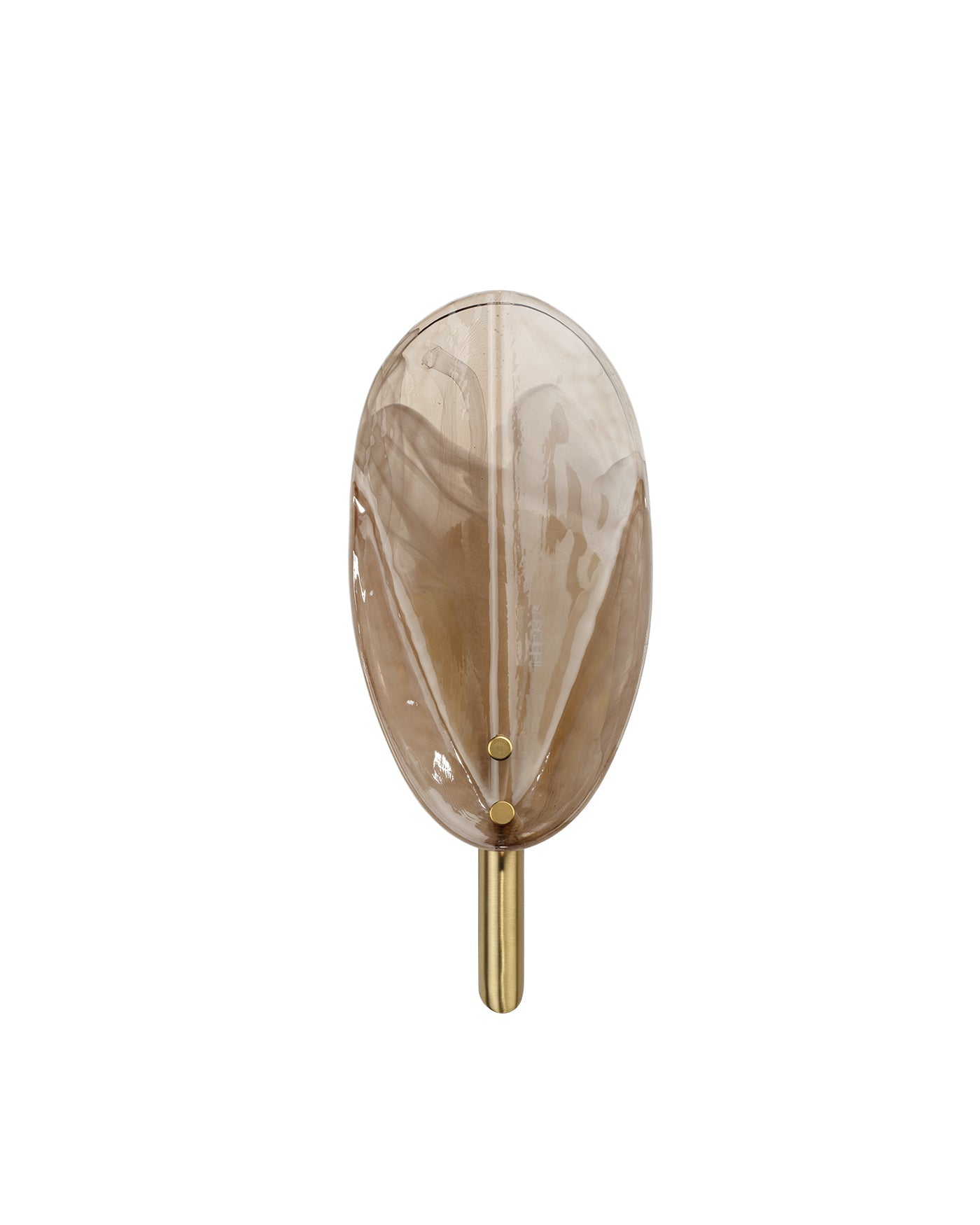 Jamie Young Magnolia 1 Light Wall Sconce