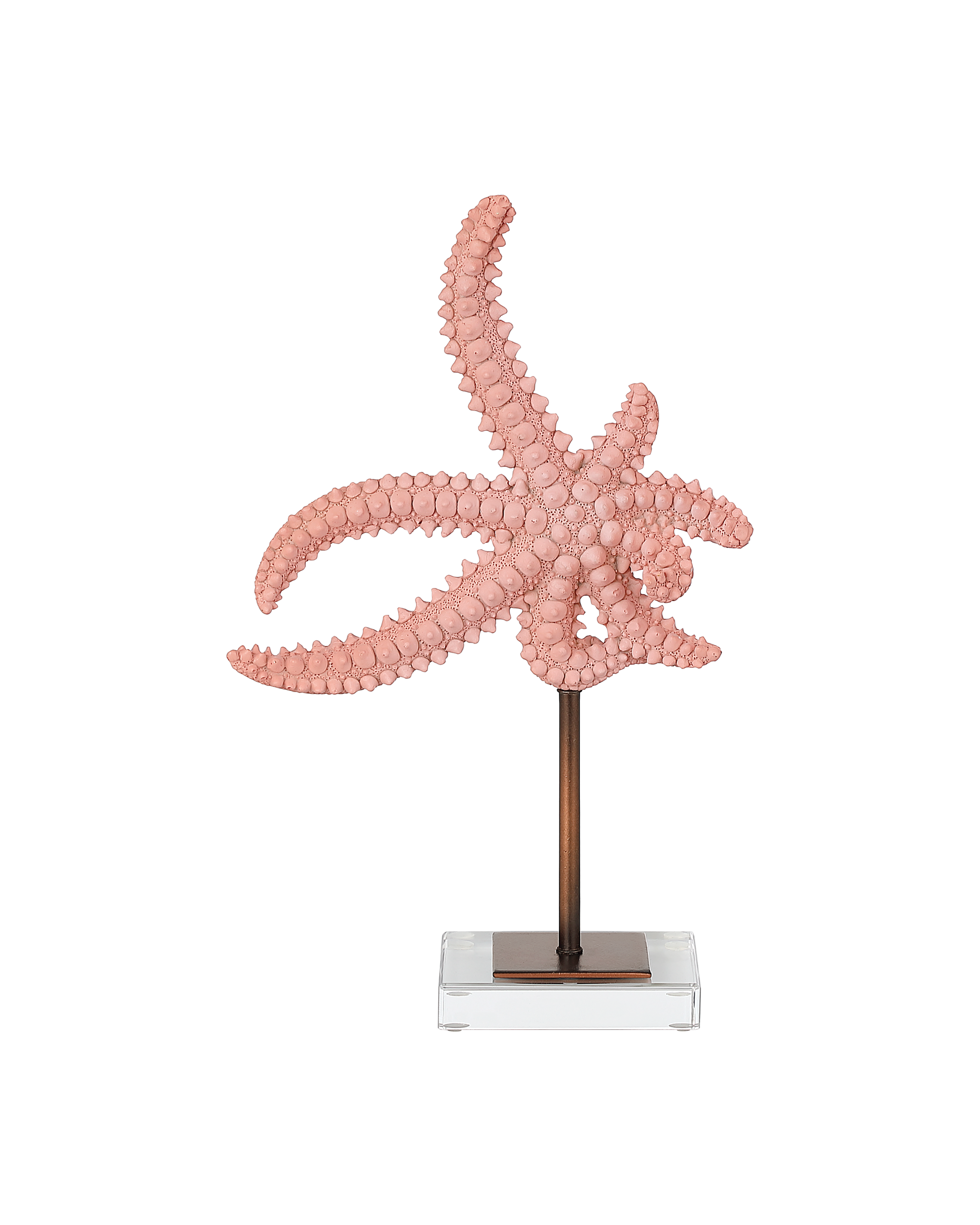Currey & Company Starfish Set Of 2