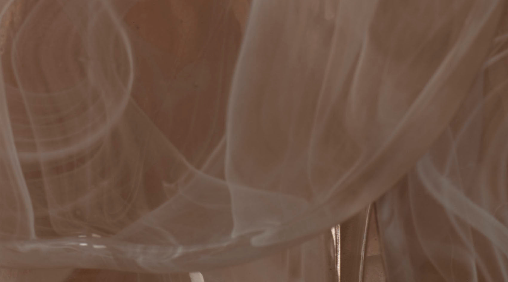 Jamie Young Magnolia 10 Light Quartz Glass Chandelier